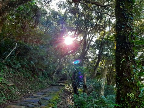 興福寮登山口|古道探訪｜興福寮古道 尋找綠世